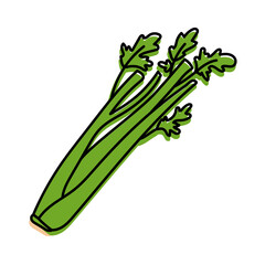 Celery herbs. Vegetable sketch. Color simple icon. Hand drawn vector doodle illustration
