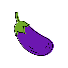 Eggplant. Vegetable sketch. Color simple icon. Hand drawn vector doodle illustration