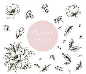 Floral ink fine line collection isolated on white, vintage set of floral elements great for designs, black ink sketch botanical set with springtime and summer flowers, leaves and branch 