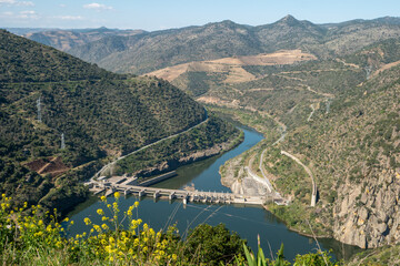 Fototapeta na wymiar Douro Valley, Portugal. Top view of river, and the vineyards are on a hills.