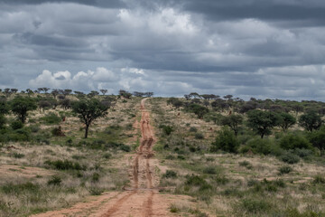 Road in Namibia