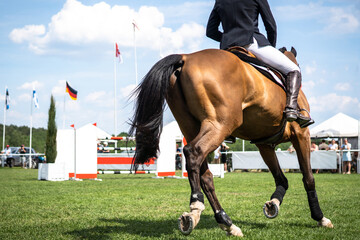 	
Equestrian Sports photo-themed: Jockey riding a horse at a horse jumping competition 