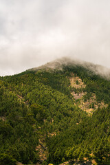 Paisaje con montaña, vegetación y nubes de fondo en la isla de Tenerife