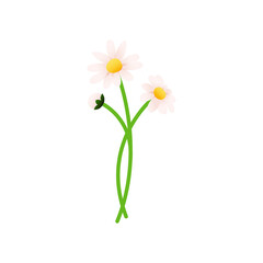 Flower sticker vector illustration. Floral element. Social Media Template.