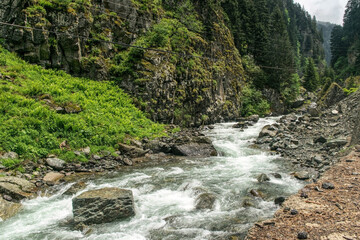 Spring mountain valley and rapid river	