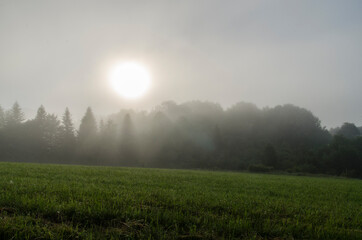 Bieszczady pranek 