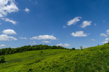 Bieszczady połoniny 