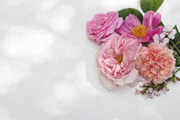 Summer floral decorative corner. Colorful garden flowers and herbs isolated on white table in sunlight. English roses, sage, peony and geranium blooms, leaves. Selective focus, blurred background. - obrazy, fototapety, plakaty