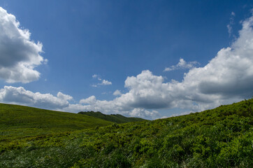 Bieszczady w lecie 