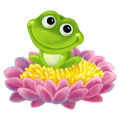 cartoon happy frog on white background illustration