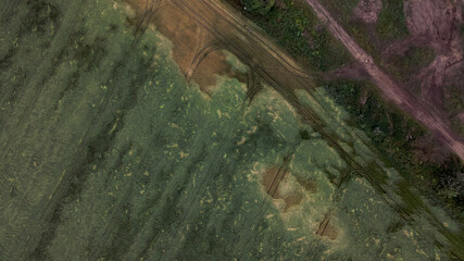Lodged cereals after storm and hail. Ripening rye. Has suffered from bad weather. Aerial photography