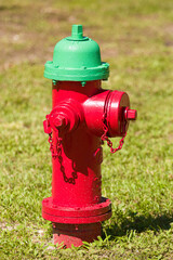 red fire hydrant with a green cap on grass