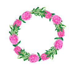 Pink protea flowers round frame. Hand drawn watercolor illustration.