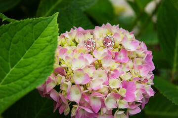 Jewelry and Women accessories white pearl and gold luxury fashion handbag bags.