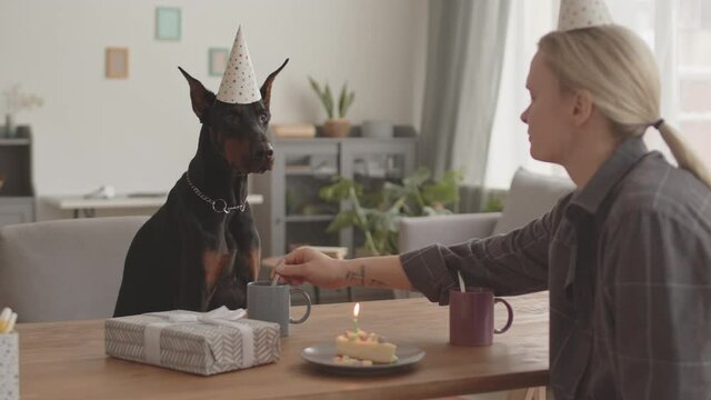 Medium long of black Doberman dog wearing party hat, sitting across table from blond-haired owner at home, human blowing candle on birthday cake, pet barking