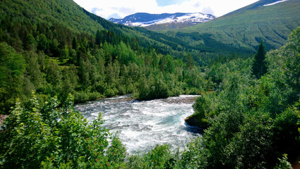 A tumultuous river through the forest