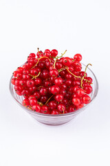 Red currant berries on White Background