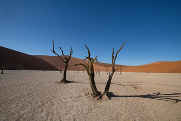 Death valley, Sossusvlei, Namib desert, Namibia