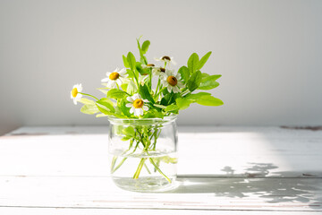 Bouquet of wildflowers chamomile in glass jar on wooden table, summer concept.