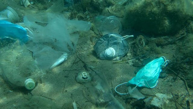 Dead Greater weever fish (Trachinus draco) hitting trapped in plastic bag lies inside plastic bag on the seabed among the medical face mask, plastic and other garbage. Plastic pollution of Ocean.  