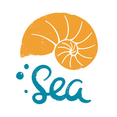 Textured yellow spiral shape shell and 