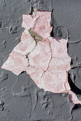 A pattern of gray peeling paint on the pink plaster of an old wall. The texture and background of natural material.