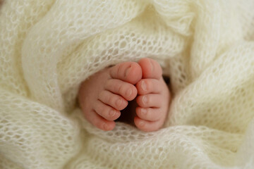 newborn baby feet wrapped white blanket