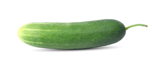 cucumber isolated on white background
