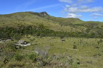 Campo verde do cerrado brasileiro com céu azul com nuvens