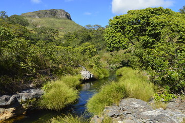 Fototapeta na wymiar Paisagem com muito verde, rio e montanha ao fundo com céu azul