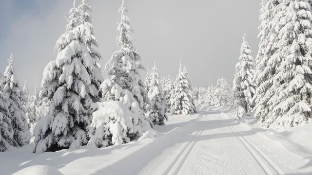 A cross-country skiing trail goes down a hill in a snow-covered winter landscape with trees