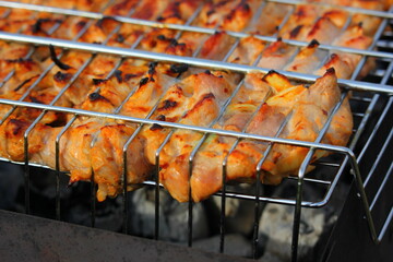 barbecue on a wire rack is fried on the grill