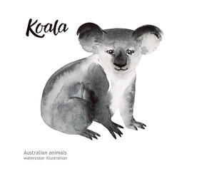 Australian animals watercolor illustration hand drawn wildlife isolated on a white background.