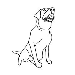 Doodle the labrador sitting.Pen line art.