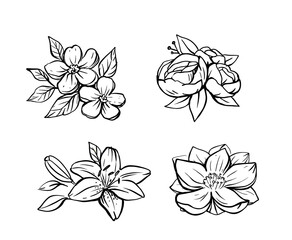 Flower Set sketch vector. Floral composition