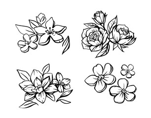 Flower Set sketch vector. Floral composition