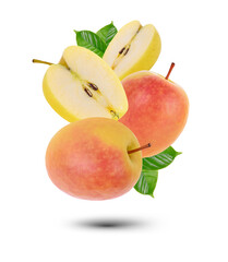 apple on a white background.