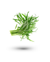 Fresh Water spinach isolated on white background