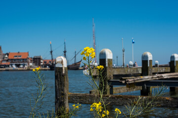 houses and boats in Volendam