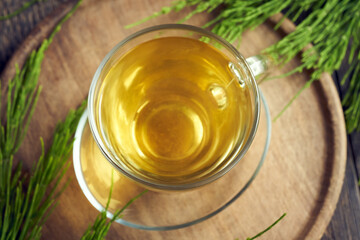 A cup of horsetail tea with fresh horsetail twigs