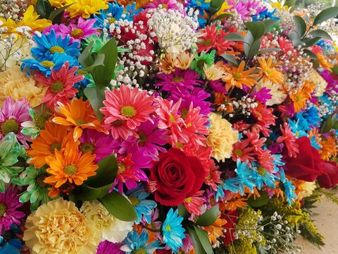 Flores en Feria de Flores, patrimonio cultural de Colombia, Medell&iacute;n. 