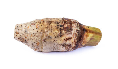 taro isolated on white background