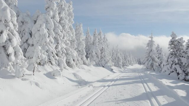 A cross-country skiing trail in a snow-covered winter landscape with trees