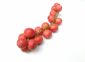 Mooti Maram or Mooti Pazham (Baccourea courtallensis) fruits isolated on white background