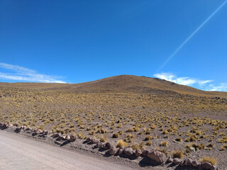 snow covered mountains