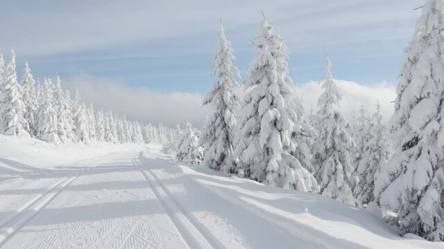 A cross-country skiing trail in a snow-covered winter landscape with trees