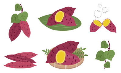 さつまいものイラストセット　秋の味覚　野菜