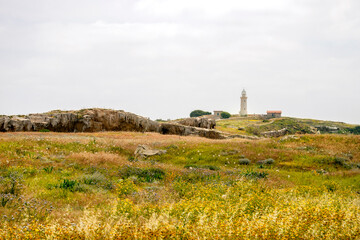 Fototapeta na wymiar Lighthouse in field on the beach
