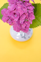 lilac hydrangea flowers in vase