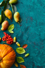 Festive autumn decor from pumpkins, pears,  leaves, acorns and berries on green background, autumn flat lay, fall composition, harvest, thanksgiving day.